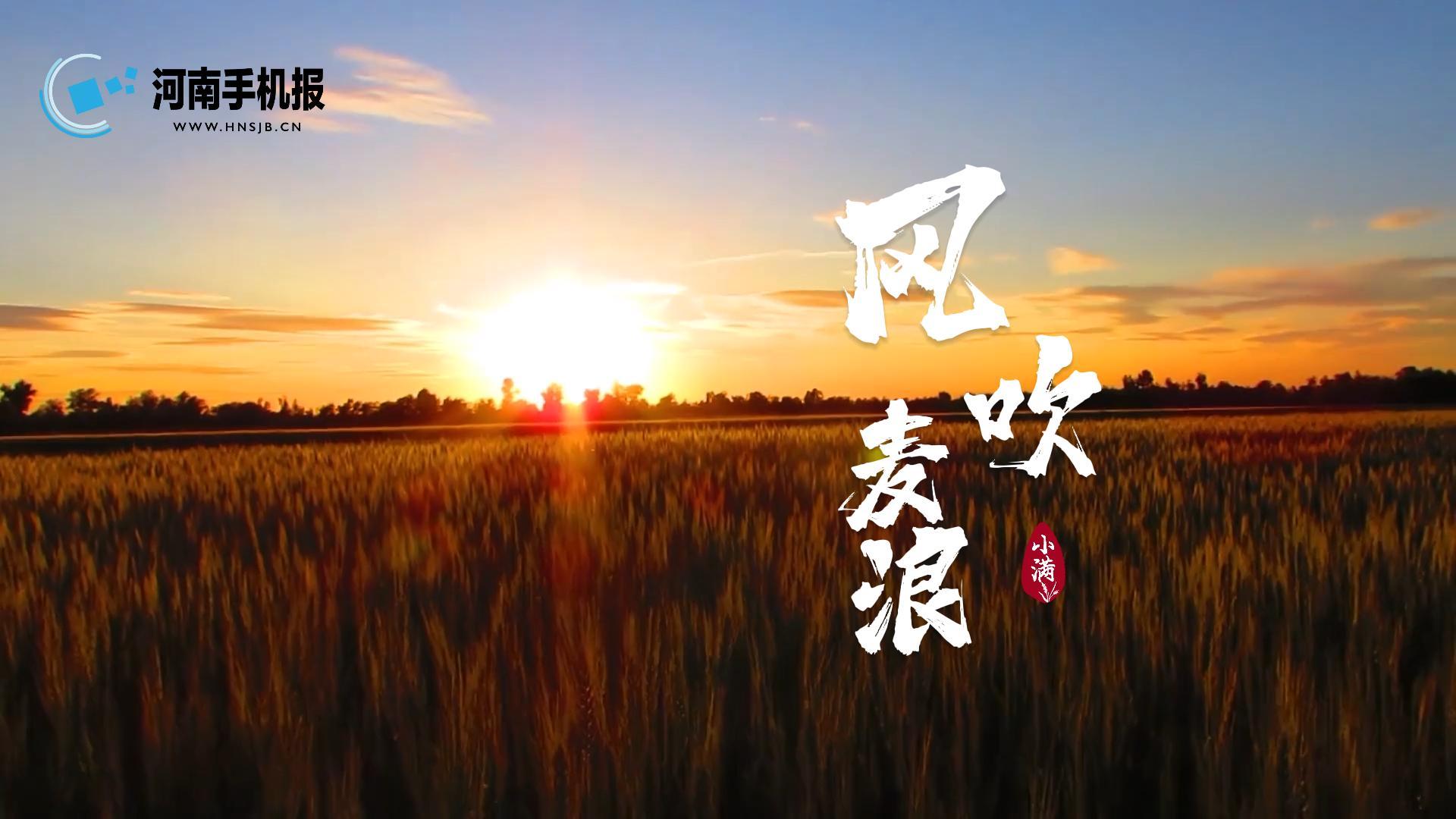 風吹麥浪-封面.jpg