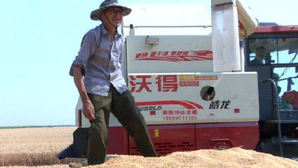 河南麥?zhǔn)招聢D景丨保證小麥顆粒歸倉，舞陽提供暖心服務(wù)