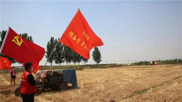  河南麥?zhǔn)招聢D景丨金色麥浪里的一抹紅，原陽600余名黨員