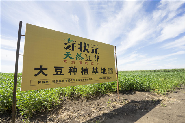 芽狀元天然豆芽李銀州：小豆芽的&ldquo;中國夢&rdquo;